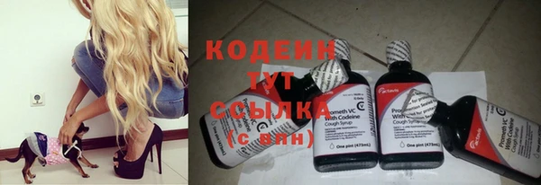 хмурый Алексин