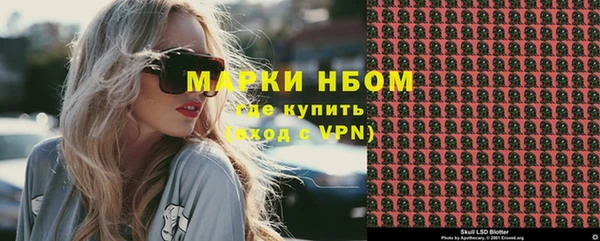 хмурый Алексин