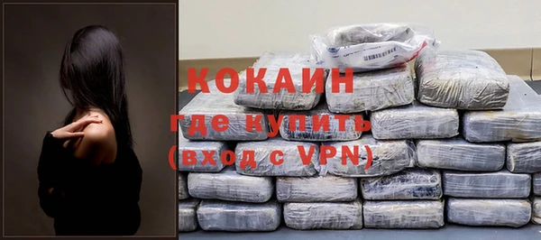 спиды Горняк
