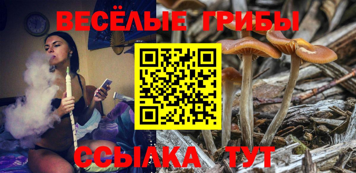 Псилоцибиновые грибы MAGIC MUSHROOMS Апрелевка
